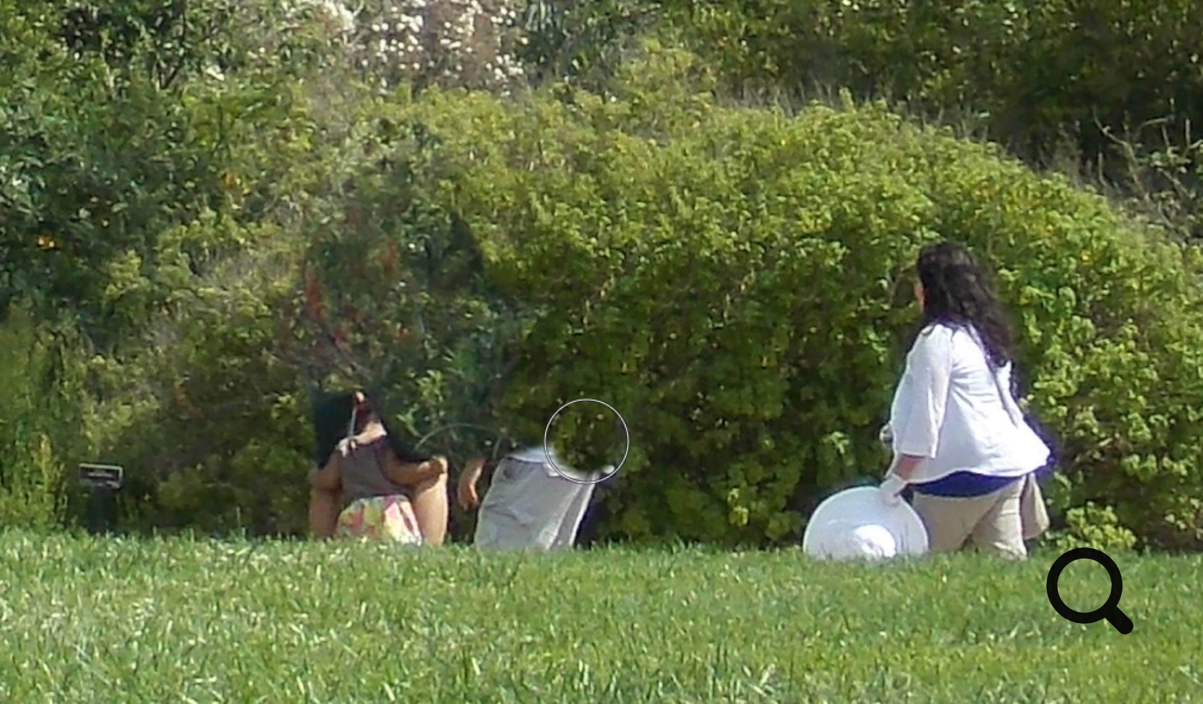 Removing unwanted elements