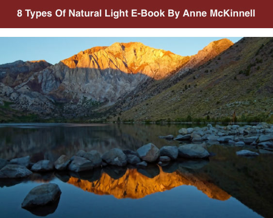 8 Types Of Natural Light E-Book By Anne McKinnell